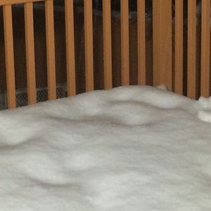 Meet your Posher, Trong